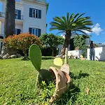 Casa Giulia Vesuvio Posillipo アパート *
