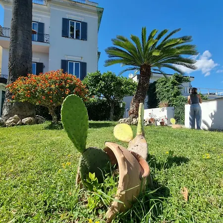 Casa Giulia Vesuvio Posillipo Apartment *